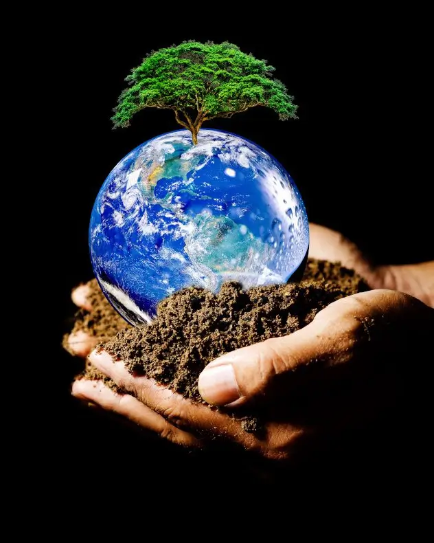 Hands cradling a small Earth and a tree growing from soil — a fragile planet held with care